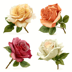 Colorful vector illustration of four roses with leaves in different colors on white background