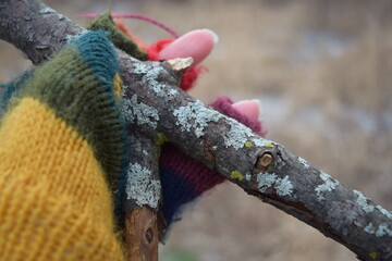 Close-Up of Gloved Hands Holding a Stick Outdoors in Cold Weather