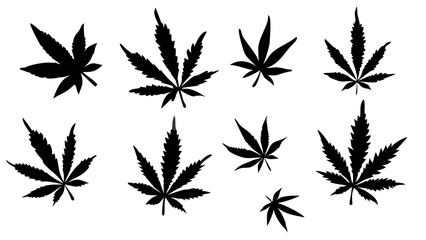 cannabis leaf 