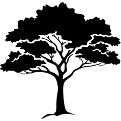 tree silhouette 