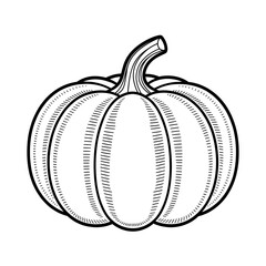 pumpkin on a white background coloring page