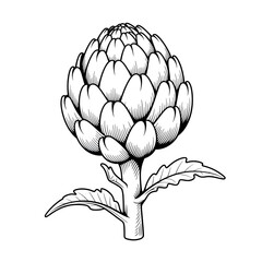 artichoke on a white background coloring page