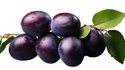 Obraz premium Plum - Succulent purple plums clustered naturally on transparent background