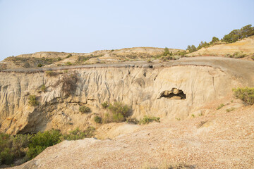 Petrified Forest at Theodore Roosevelt National Park, North Dakota