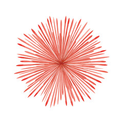 Obraz premium vector illustration of firework isolated in White Background, firework vector