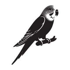 bird on a branch