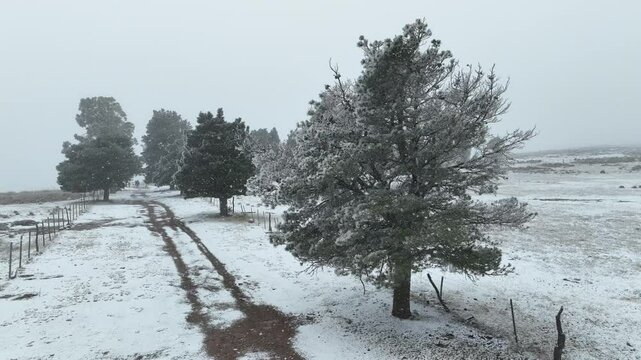 INVIERNO