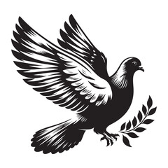 Fototapeta premium dove on white background