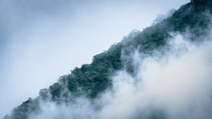Green tropical rainforest covering a steep mountain slope, surrounded by dense white fog under a pale sky.