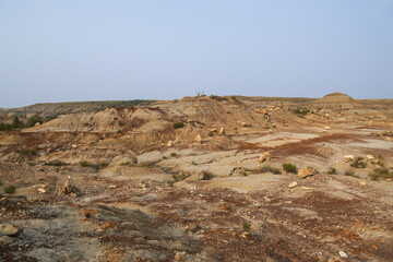 Petrified Forest at Theodore Roosevelt National Park, North Dakota