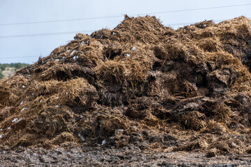 A large pile of decomposing organic material is situated in a rural area, highlighting the natural...