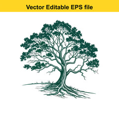 Obraz premium Detailed Botanical Illustration of a Lush Green Tree oak tree, water color,Showcasing its Intricate Branches, Dense Foliage, and Robust Trunk, Evoking a Sense of Nature's Enduring Beauty