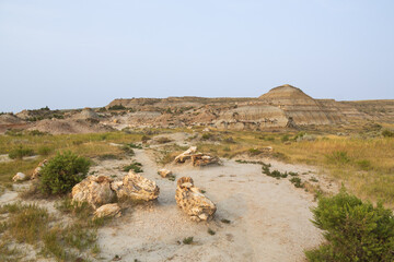 Petrified Forest at Theodore Roosevelt National Park, North Dakota