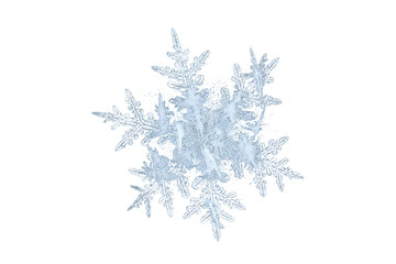 High-resolution frozen ice crystal or snowflake effect with frosty details and realistic edges – PNG Transparent Background