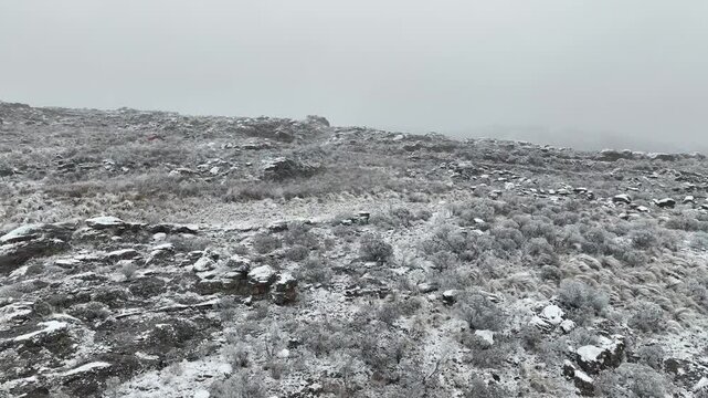 NIEVE