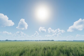 Obraz premium Wide shot of a grassy field under a bright sky