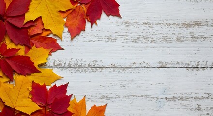 Vibrant red and yellow autumn leaves arranged on a rustic white wooden background