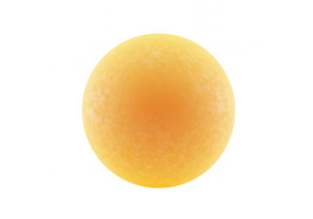 A single, round, yellow egg cell isolated on transparent background, detailed macro view of a biological specimen