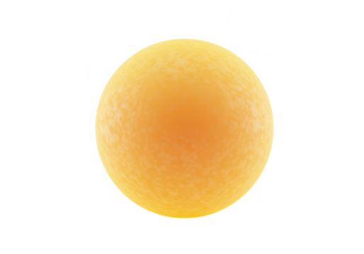 A single, round, yellow egg cell isolated on transparent background, detailed macro view of a biological specimen
