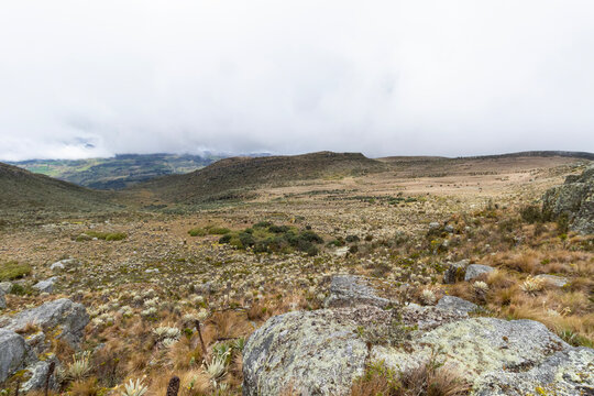sumapaz colombian paramo landscape with rocks and mountains in sunny day