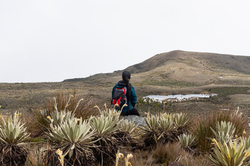 woman in relaxing attitude sitting on a rock at the edge of a cliff contemplating the colombian paramo ecosystem with big frailejones plants and a lake and mountains at background