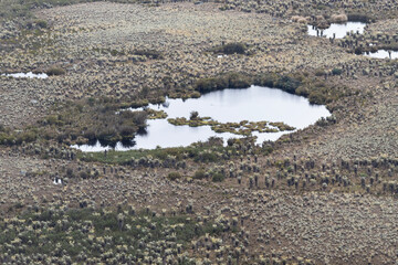 small lake in middle of paramo ecosystem