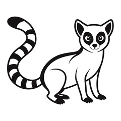 Lemur on white background