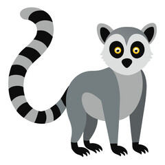 Lemur on white background