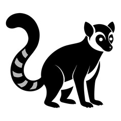 Lemur on white background