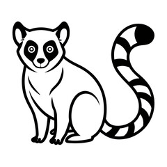 Lemur on white background