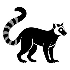 Lemur on white background
