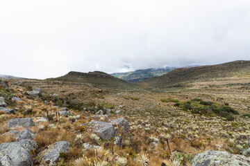 panoramic shot of paramo highlands ecosystem in colombia with cloudy sky