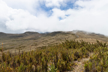 Trekking path in middle of colombian paramo ecosystem with foggy mountains at background