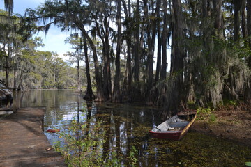 Boat docked on a swamp shore at Caddo lake, Texas with cypress trees