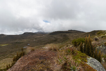colombian paramo ecosystem landscape with cloudy mountains