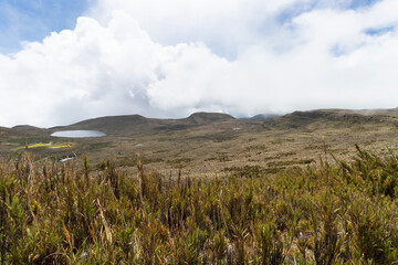 Sumapaz paramo landscape with fog and cloudy mountains at background