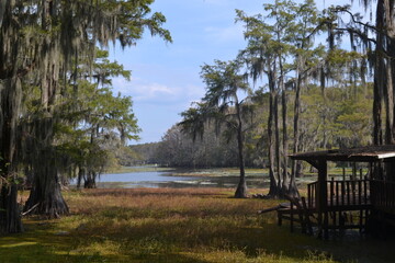 Peaceful lakeside View with Cypress trees at Caddo Lake