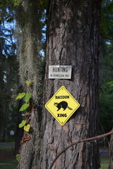  Raccoon Territory Warning Sign on tree in Caddo Lake Area, Texas