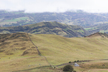 aerial view of colombian andean mountains countryside with fog and cattle