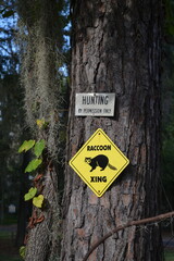 No hunting - Racconn Territory Warning Sign on tree in Caddo Lake Area, Texas