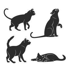 Four black cat silhouettes in various poses black cats feline © MD MOGAMMEL HAQUE 