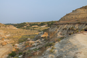Petrified Forest at Theodore Roosevelt National Park, North Dakota