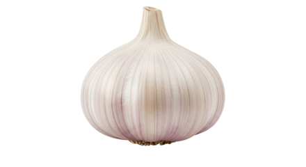 Fresh garlic bulb with distinctive ridges, a common cooking ingredient