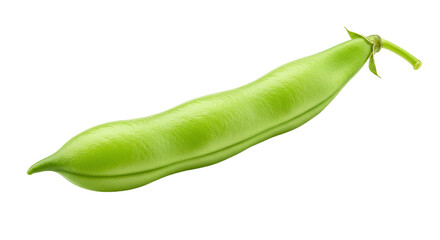 Fresh green bean pod isolated on a black background in high detail