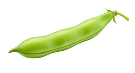 Fresh green bean pod isolated on a black background in high detail