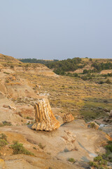 Petrified Forest at Theodore Roosevelt National Park, North Dakota
