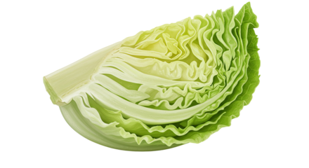 Fresh iceberg lettuce wedge with crisp leaves showcases natural texture