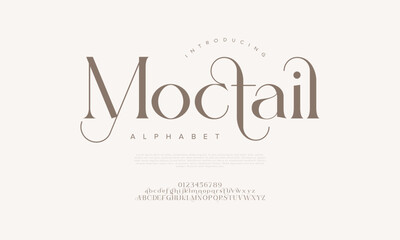 Classy serif font with elegant curves and refined strokes, ideal for fashion labels and luxury branding