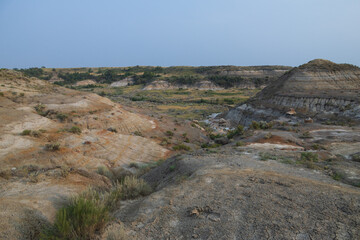 Petrified Forest at Theodore Roosevelt National Park, North Dakota