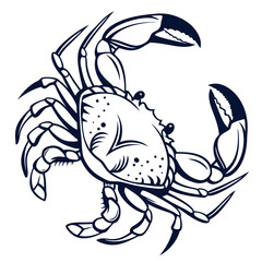 Dark blue crab illustration on white crustacean marine life